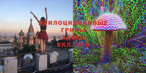 гашик Баксан
