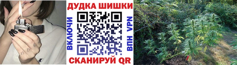 Бошки марихуана ГИДРОПОН  купить   Пугачёв 